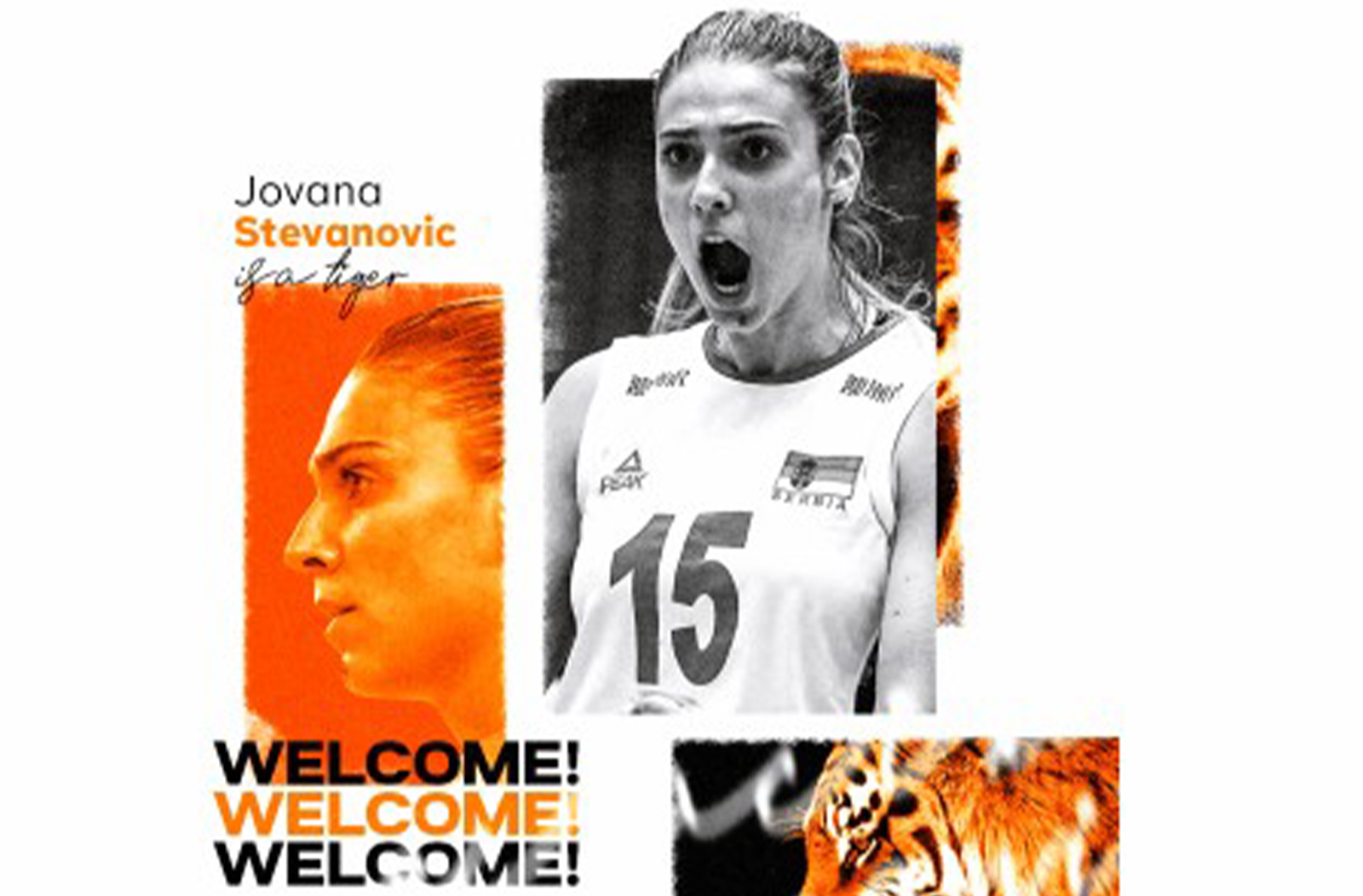 Jovana Stevanović Yeni Sezonda Eczacıbaşı’nda